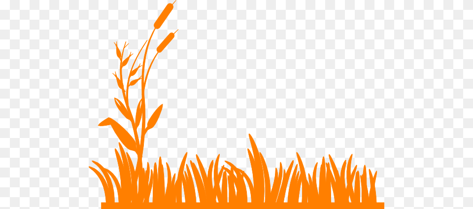 Farmland Clipart, Grass, Plant, Art, Graphics Free Png Download