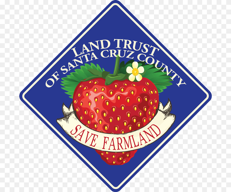 Farmland Final Ex Strawberry, Berry, Food, Fruit, Plant Png Image