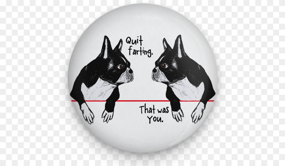 Farting Boston Terriers Magnet Boston Terrier, Animal, Canine, Dog, Mammal Free Png