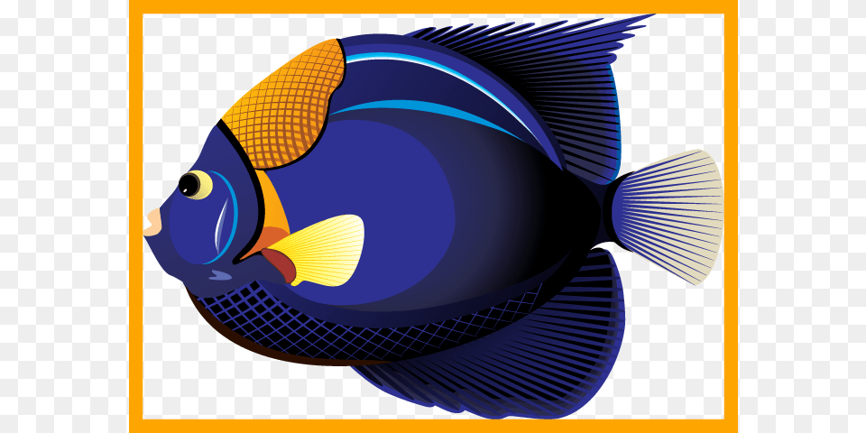 Fascinating Collection Of Fish Clipart Bw High Quality Tropical Ocean Fish Transparent, Angelfish, Animal, Sea Life, Surgeonfish Png Image