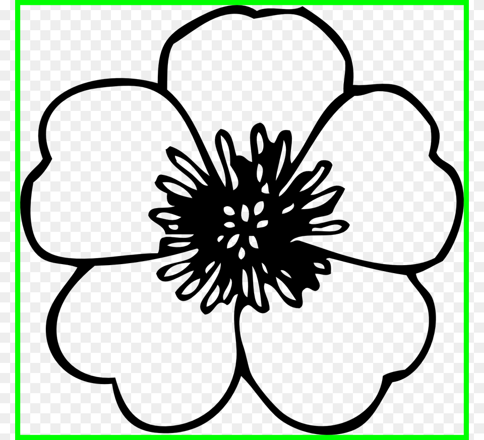 Fascinating Daisy Flower Black And White Clipart Icons Flowers Black And White, Anemone, Petal, Dahlia, Anther Png
