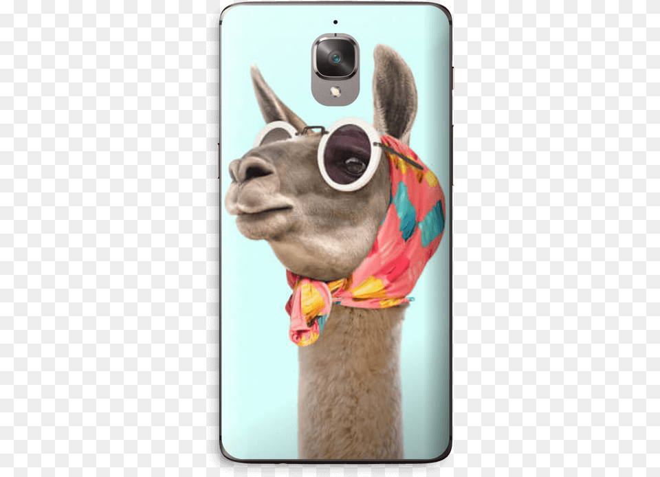 Fashion Llama Skin Oneplus, Smoke Pipe, Animal, Mammal, Canine Free Png Download