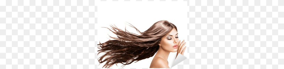 Fashion Model Girl Portrait With Blowing Hair Hair Blowing Transparent, Adult, Person, Female, Woman Free Png