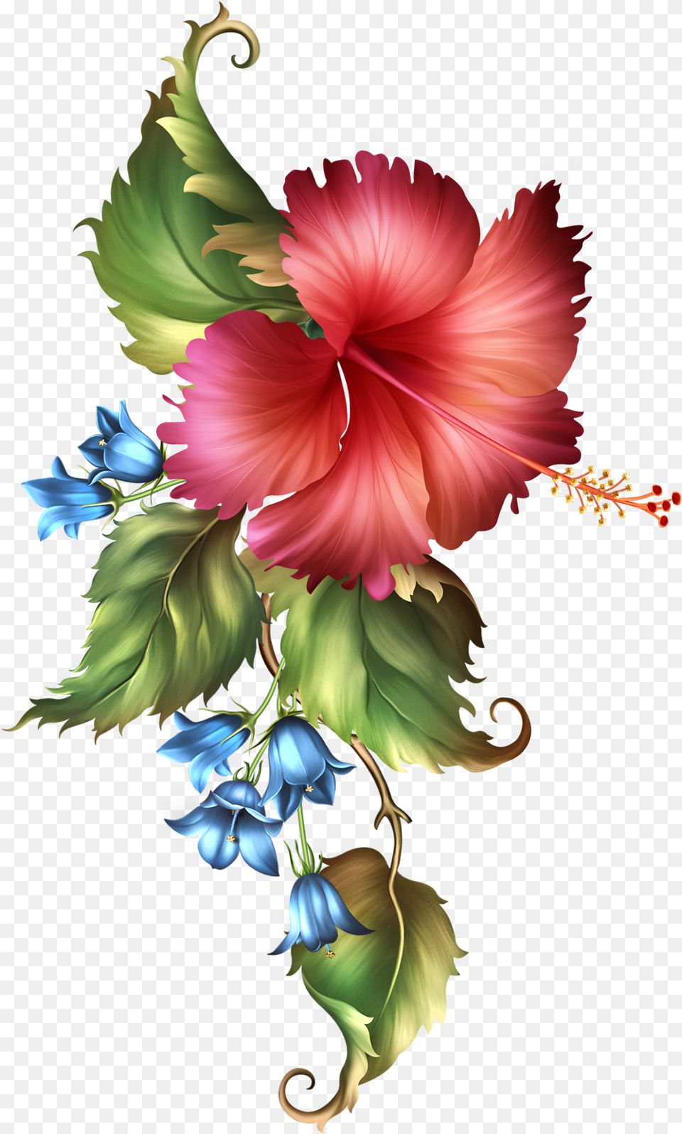 Fashionably Florale Hoe Simply Beautiful Flora Frames Cuadro De Pinturas, Art, Floral Design, Flower, Graphics Png