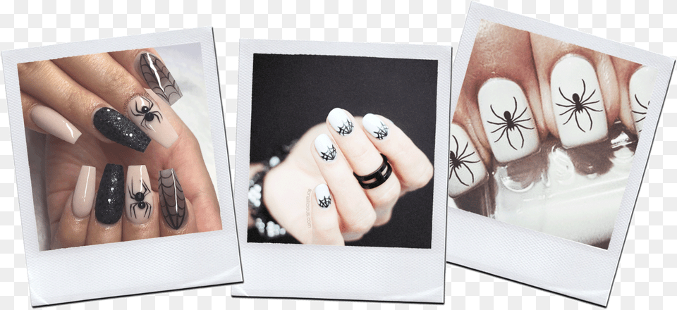 Fashionlush Spider Nails Halloween Nail, Hand, Body Part, Person, Finger Free Png