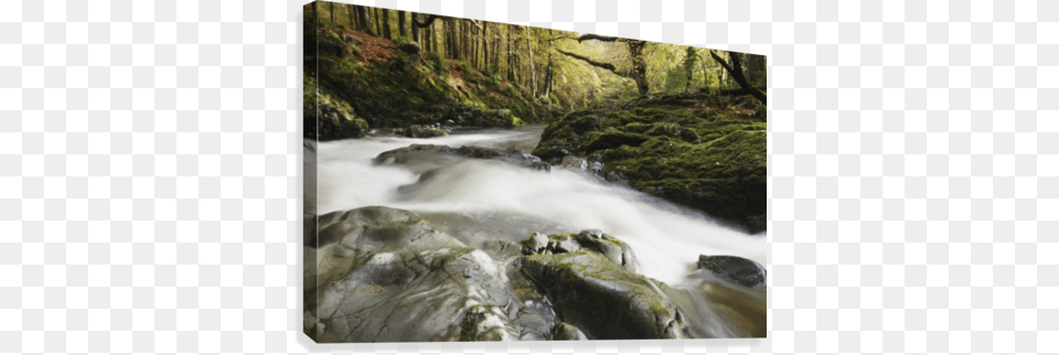 Fast Flowing Water Over Mossy Rocks In Tollymore Forest, Nature, Outdoors, Stream, Creek Free Transparent Png
