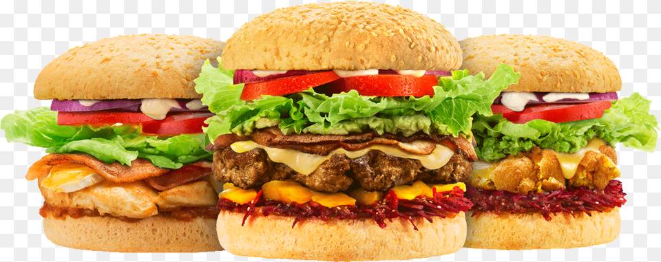 Fast Food Burger Burger And Fries Png Image