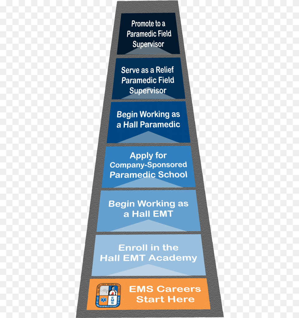 Fasttrack Ladder Career Ladder For Veterinarians, Advertisement, Poster, Person, Text Png