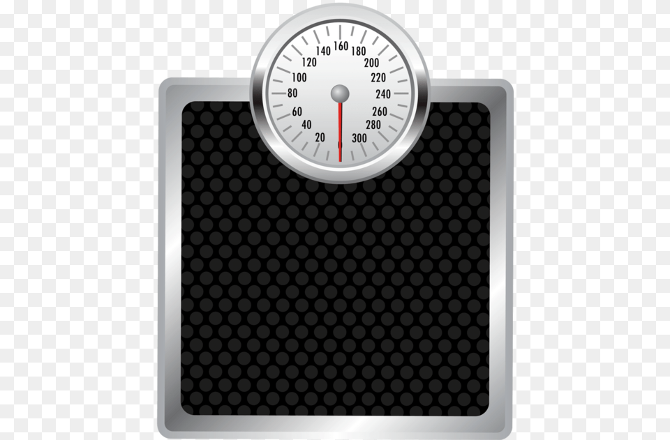Fat, Scale Png Image