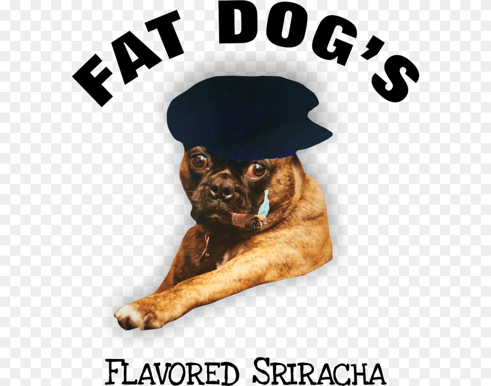 Fat Dogs Flavored Sriracha Logo Dog Licks, Advertisement, Animal, Boxer, Bulldog Free Png Download