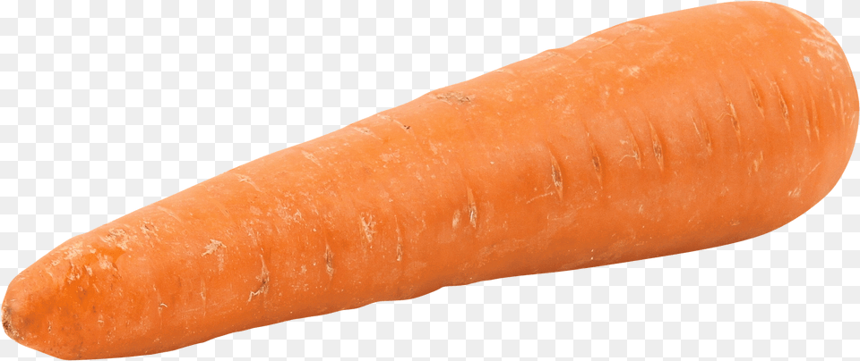 Fat Orange Carrot Image 1 Carrot, Food, Plant, Produce, Vegetable Free Png Download