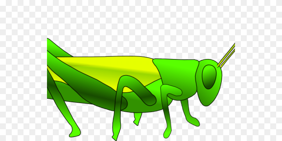 Fauna Clipart Grasshopper Locust Encapsulated Postscript, Animal, Insect, Invertebrate Free Png
