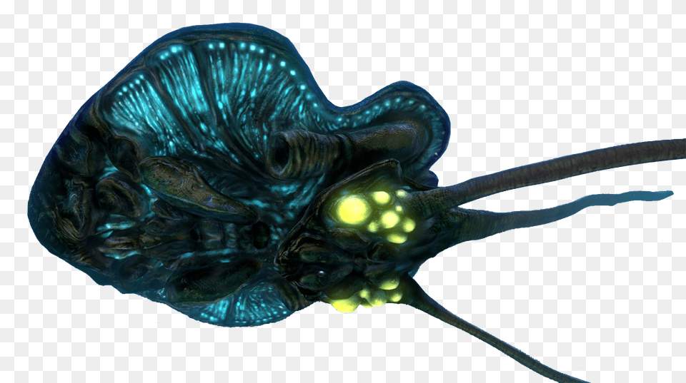 Fauna Fandom Powered Faunapng Subnautica Reefback Leviathan, Animal, Fish, Sea Life Free Transparent Png