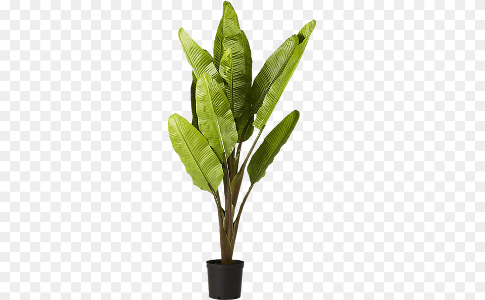 Faux Banana Tree Faux Banana Leaf Plant Free Png Download