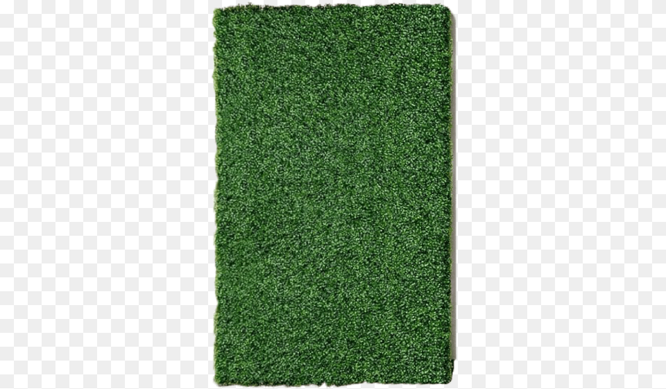 Faux Boxwood Wall Carpet, Fence, Grass, Hedge, Plant Free Png Download