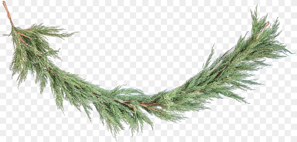 Faux Cedar Garland 1 Pine, Leaf, Plant, Tree, Ice Free Png Download