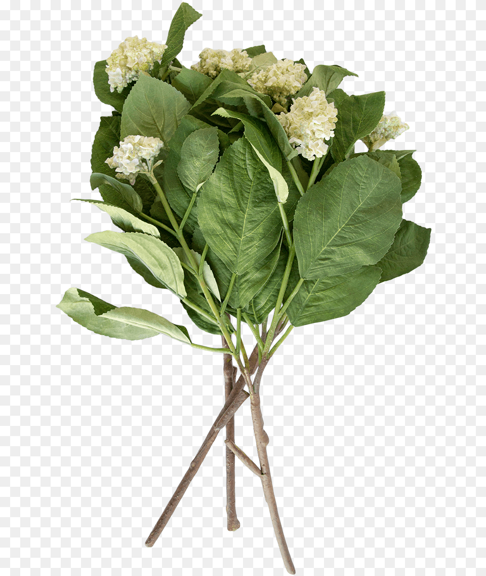 Faux Hydrangea Stem Bouquet, Flower, Flower Arrangement, Flower Bouquet, Leaf Free Png