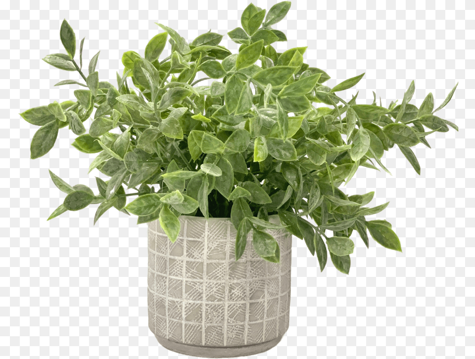 Faux Potted Plant, Jar, Leaf, Planter, Potted Plant Free Transparent Png
