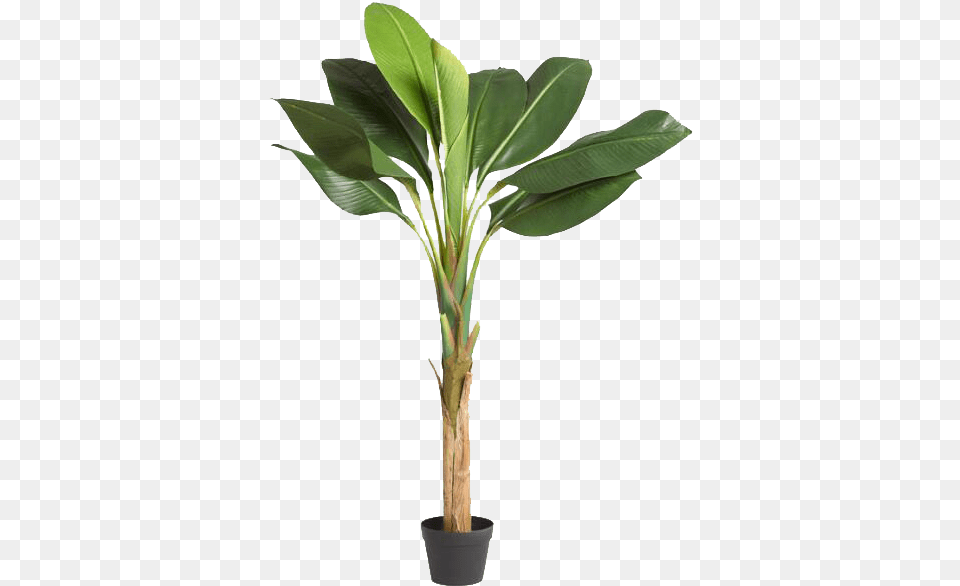 Faux Single Stalk Banana Tree Houseplant, Leaf, Palm Tree, Plant, Flower Png