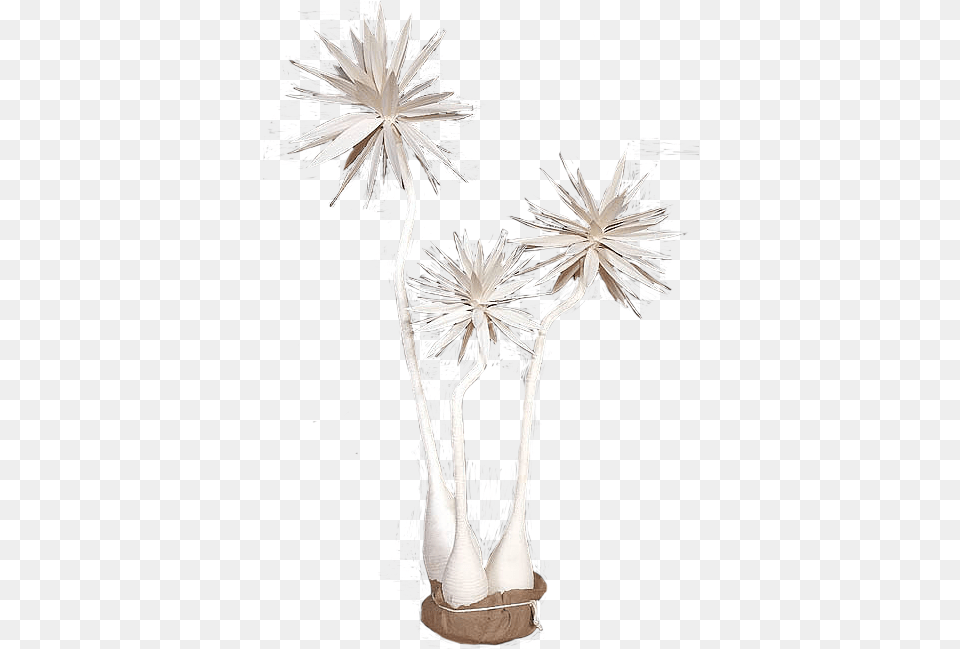 Faux Yucca Tree Cluster In The Event Dandelion, Art, Plant, Flower, Lamp Png