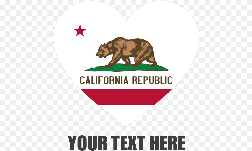 Favorite, Animal, Bear, Mammal, Wildlife Png Image