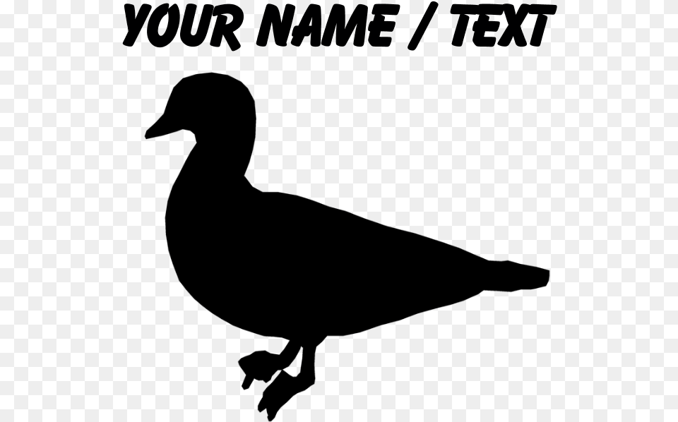 Favorite Duck, Gray Free Png