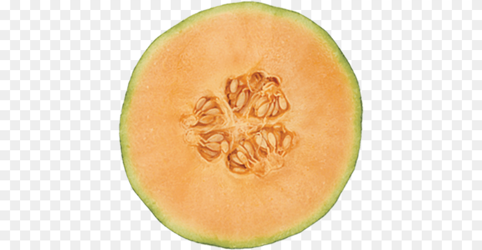 Favorite Melon Bursting With Healthy Essential Cantaloup, Food, Fruit, Plant, Produce Png