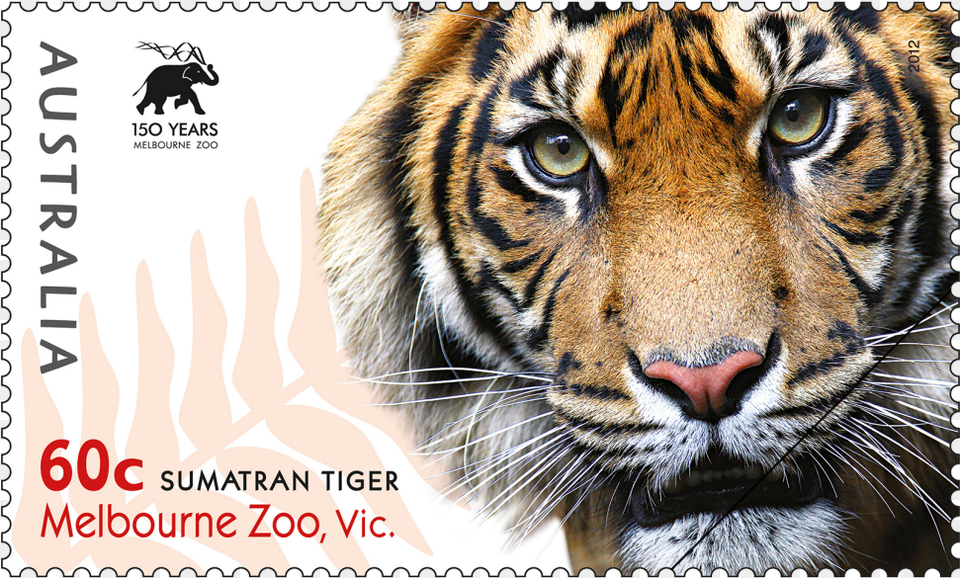 Favourite Stamp From Wildlife Heritage Foundation, Animal, Mammal, Tiger, Postage Stamp Png Image