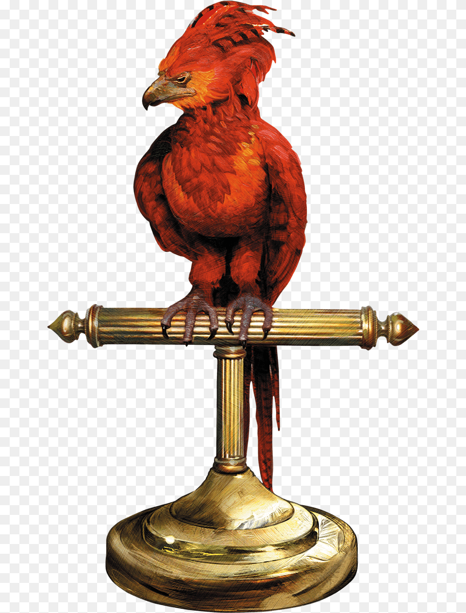 Fawkes Perch, Animal, Beak, Bird, Bronze Free Transparent Png