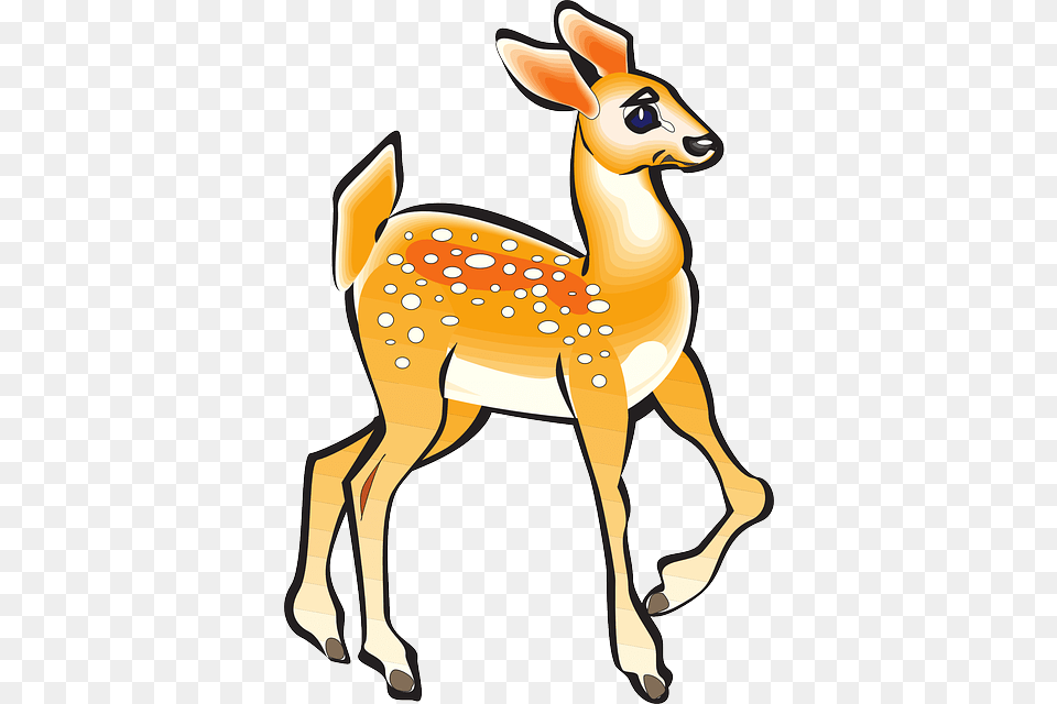 Fawn Animal Tail Posing Legs Bent Spots Pose Clipart Idea, Deer, Mammal, Wildlife, Kangaroo Png