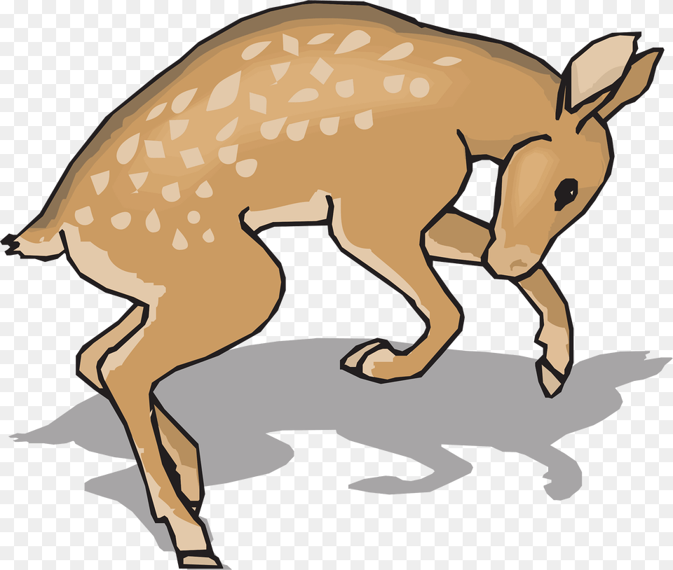 Fawn Clipart, Animal, Deer, Mammal, Wildlife Free Transparent Png