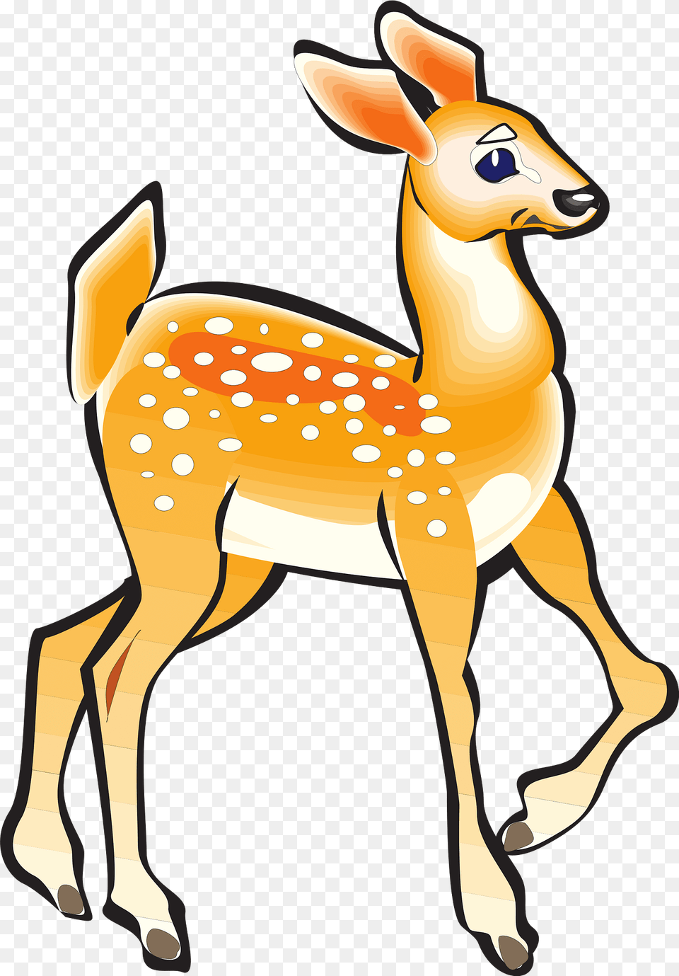 Fawn Clipart, Animal, Deer, Mammal, Wildlife Png Image