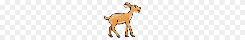 Fawn Clipart, Animal, Deer, Mammal, Wildlife Png