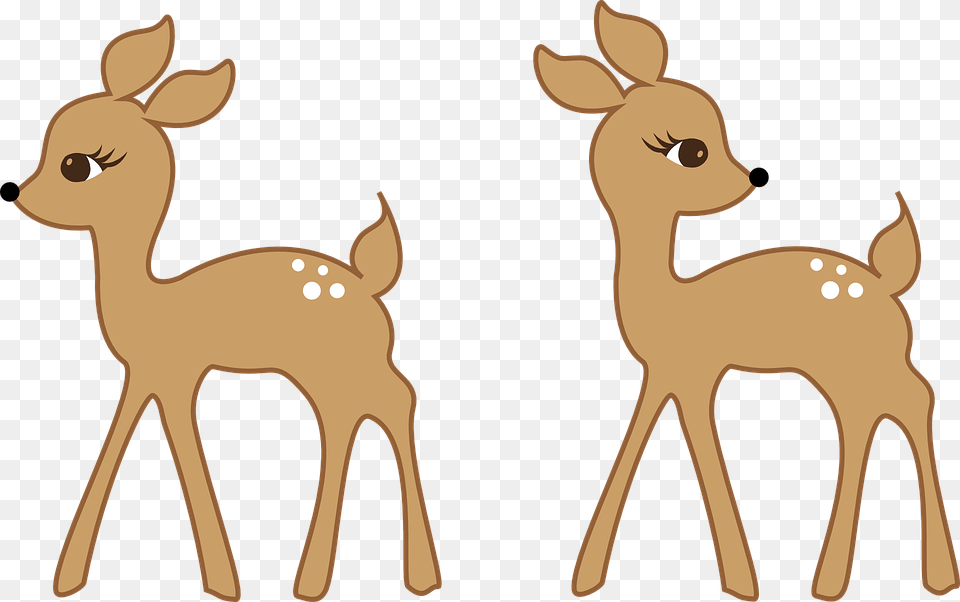 Fawn Clipart Clip Art, Animal, Deer, Mammal, Wildlife Free Png Download