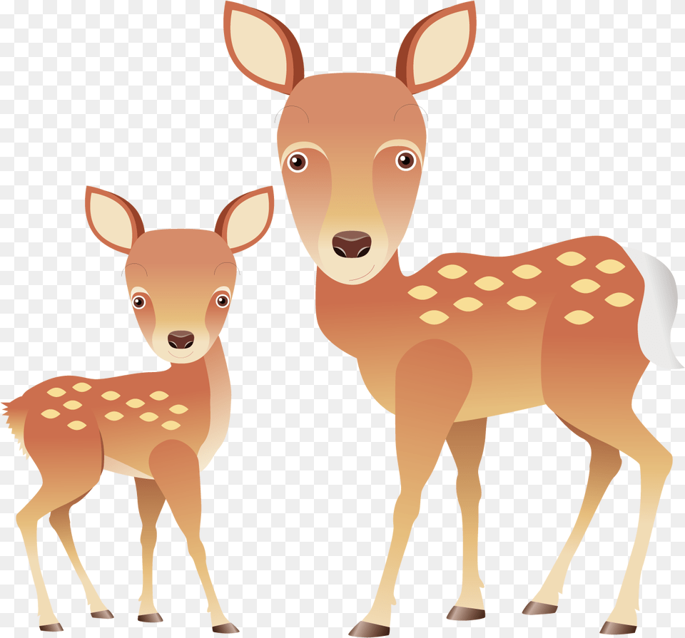 Fawn Drawing White Tailed Deer Deer Cartoon, Animal, Mammal, Wildlife, Pig Free Png