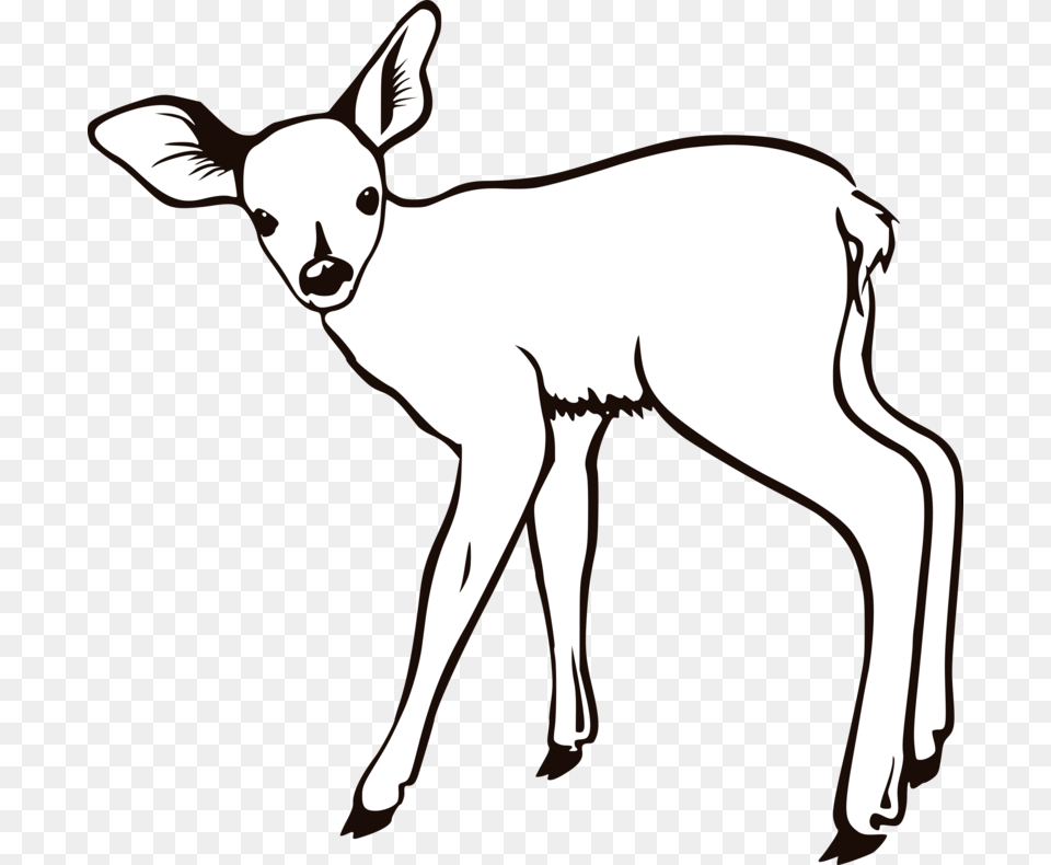 Fawn Outline, Animal, Deer, Mammal, Wildlife Png Image