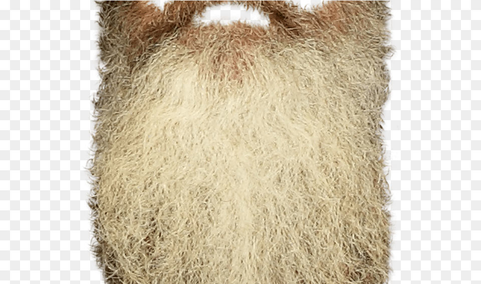 Fawn Wool, Beard, Face, Head, Person Free Png