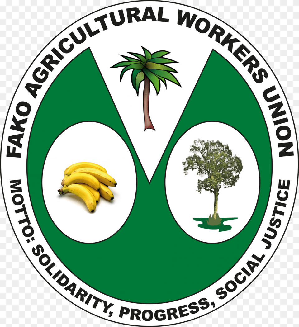 Fawu Organises Plantation Workers In The South West Letting Go Of Your Bananas How To Become More Successful, Banana, Food, Fruit, Plant Free Transparent Png