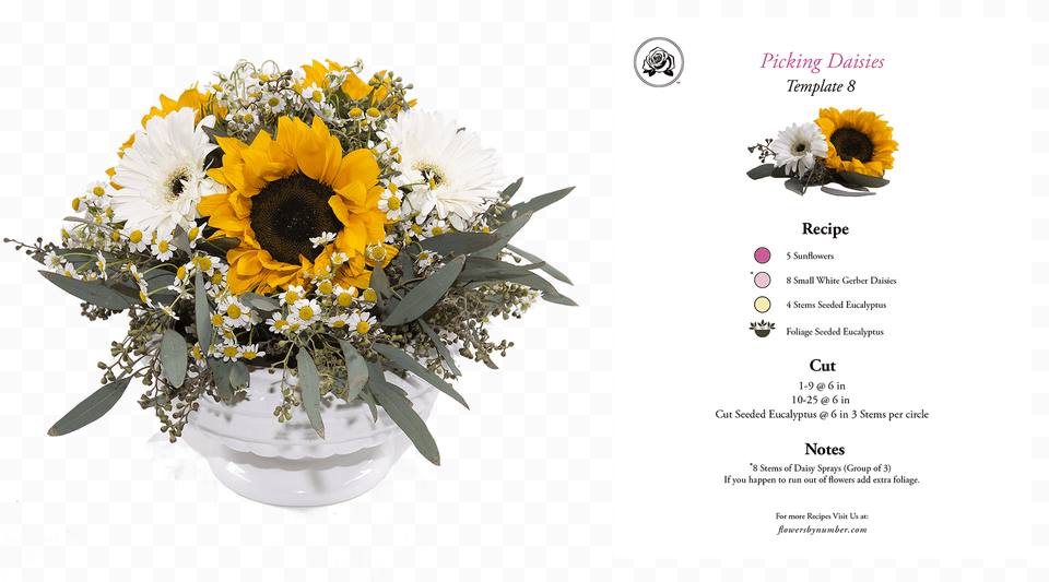 Fbn Arrangement And Recipe 0034 Yellow Picking Daisies Bouquet, Flower, Flower Arrangement, Flower Bouquet, Plant Free Png
