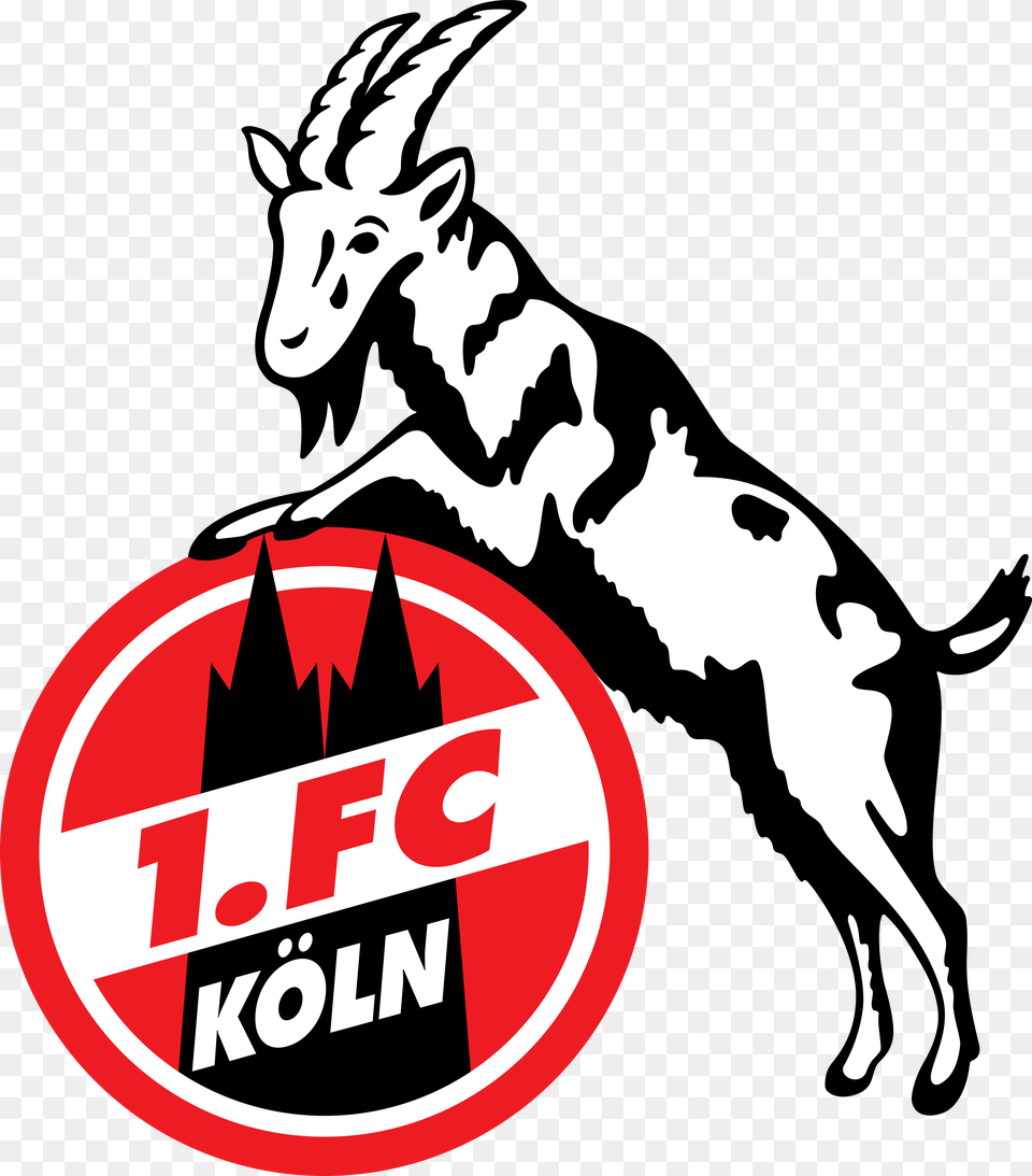 Fc Koln Logo Vector Fc Koln Logo, Person Png Image