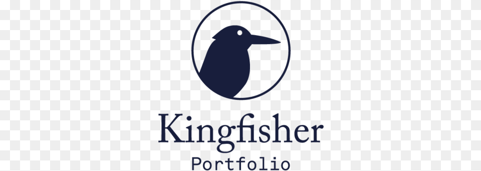 Fcm Kingfisher Portfolio, Animal, Bird, Jay, Beak Free Png Download