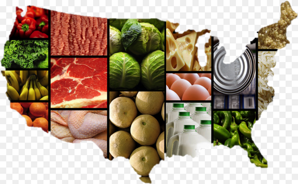 Fda Food Code 2017, Art, Collage, Meal, Lunch Free Transparent Png