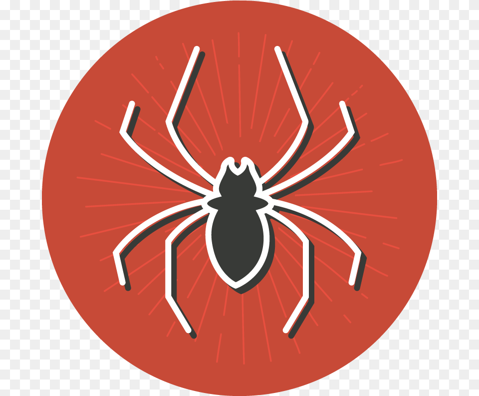 Fear Clipart Dead Spider, Animal, Invertebrate Free Png