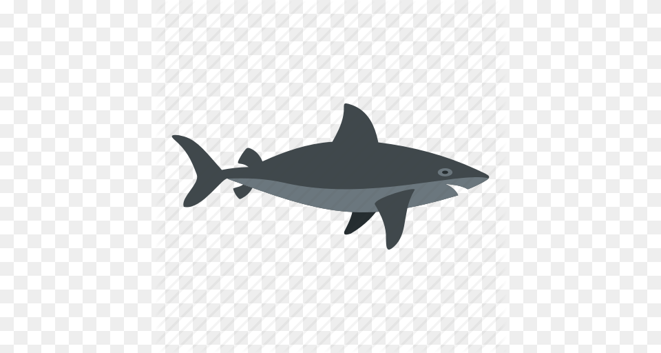 Fear Fish Horror Predator Sea Shark Teeth Icon, Animal, Sea Life Png Image
