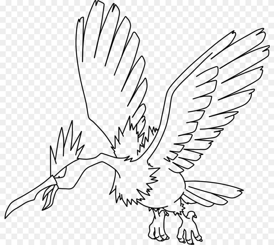 Fearow Coloring, Gray Free Png