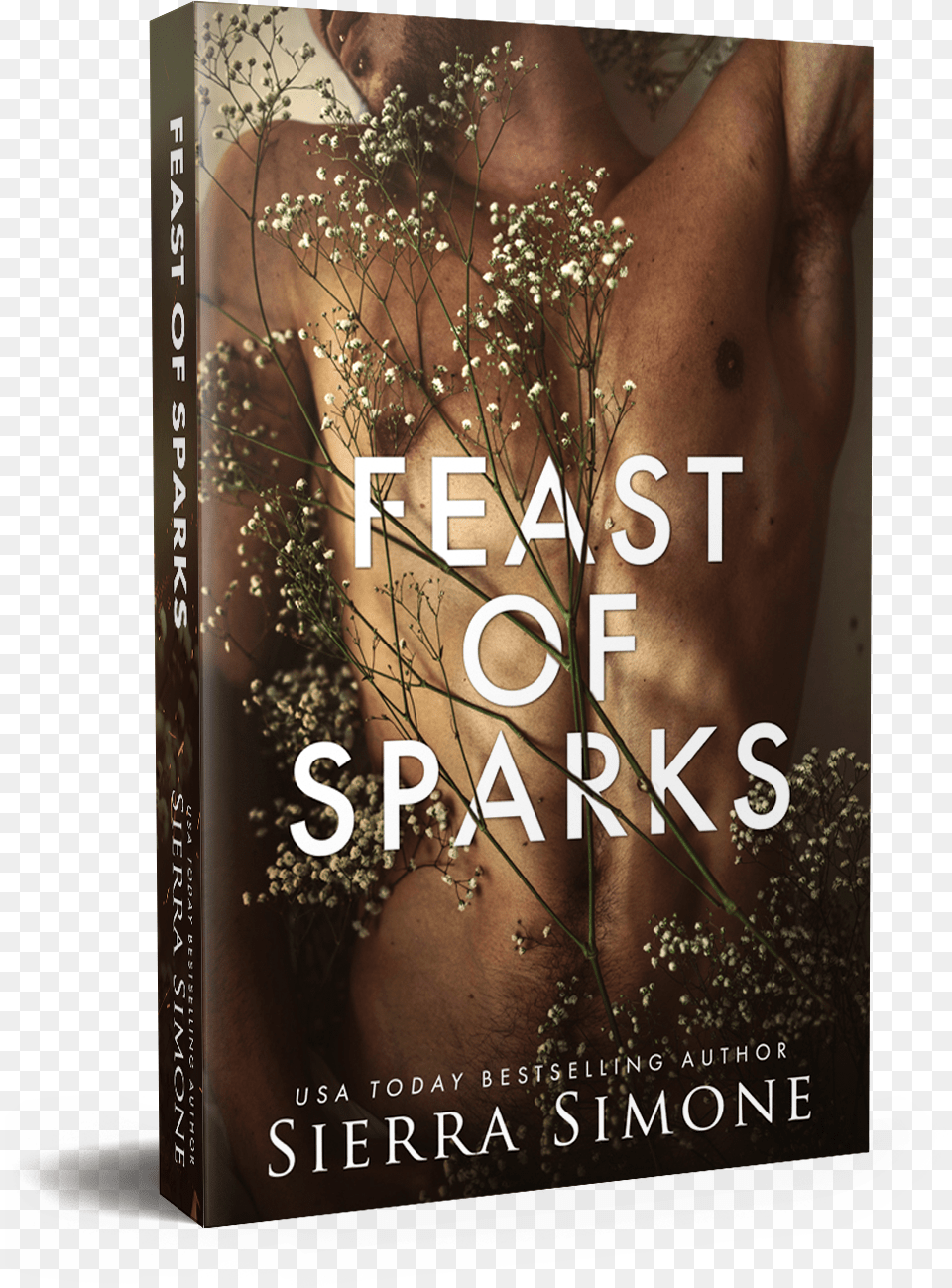 Feast Of Sparks Paperback Mock Flyer, Book, Novel, Publication, Adult Png