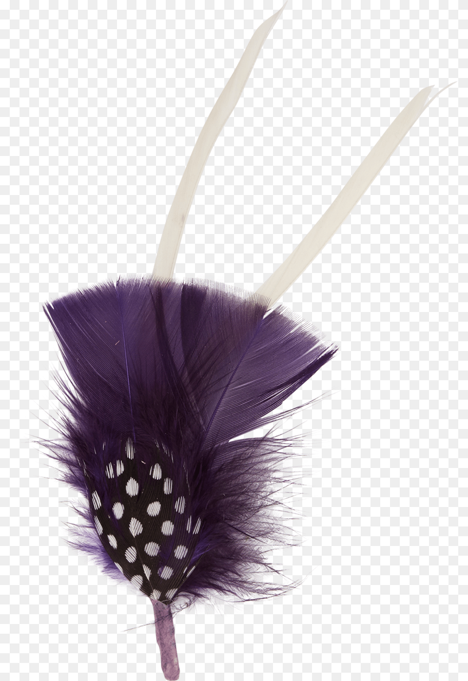 Feather, Flower, Plant, Purple, Accessories Png Image