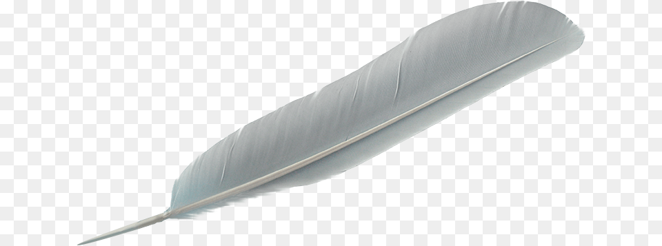 Feather, Bottle, Blade, Dagger, Knife Png Image