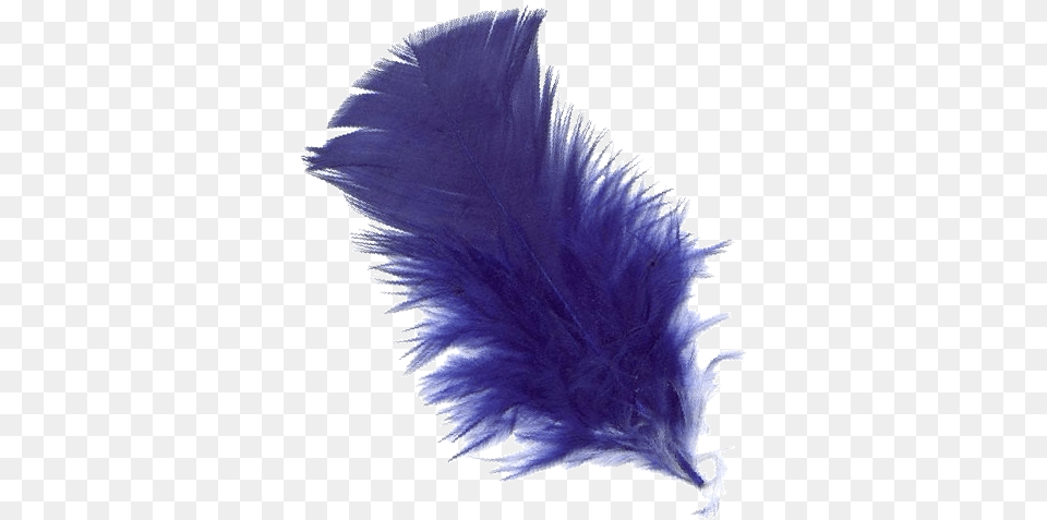 Feather, Accessories, Animal, Cat, Mammal Free Transparent Png