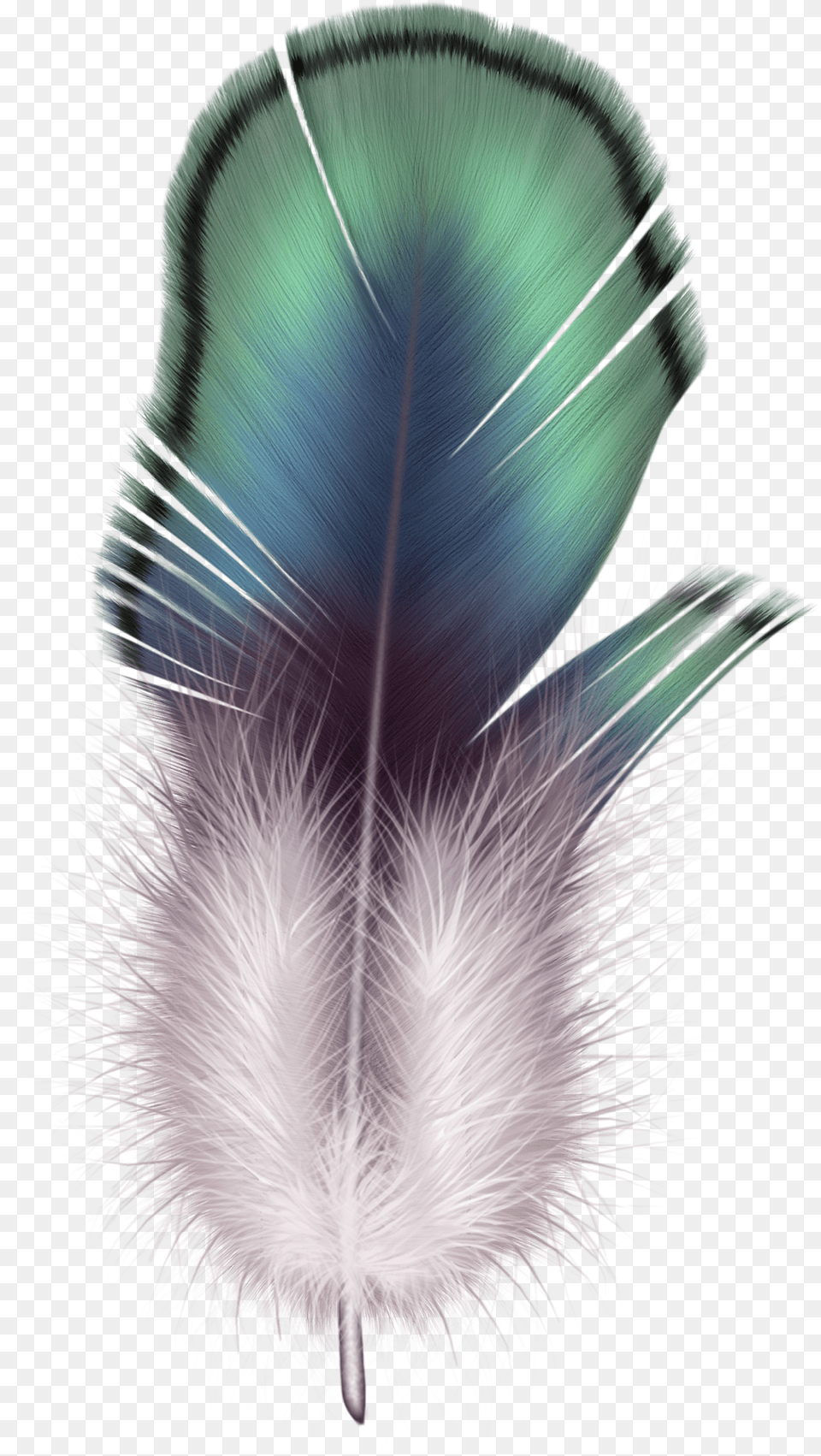 Feather, Accessories, Pattern, Art, Graphics Png